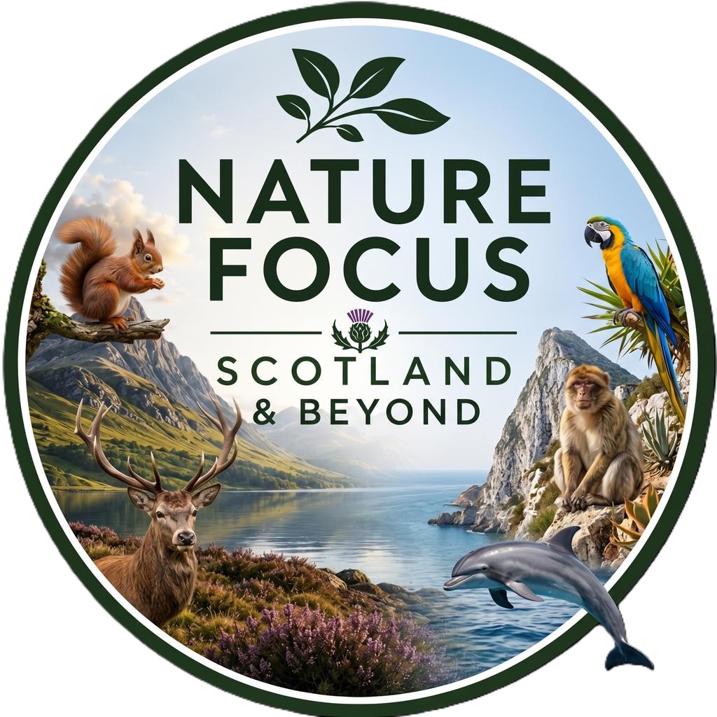 Nature Focus Scotland and Beyond
