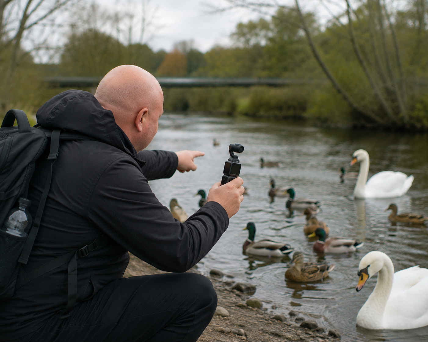 Wildlife field observation