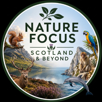 Nature Focus Scotland and Beyond